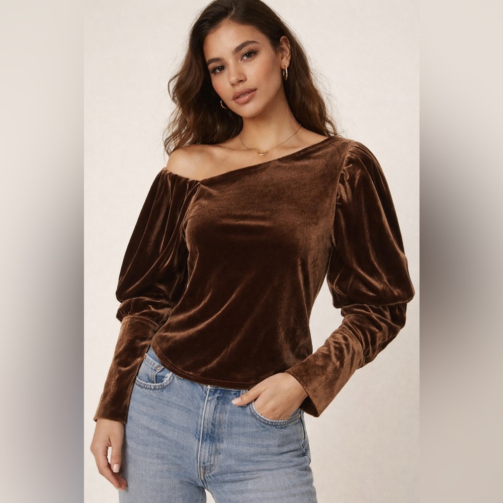 Chocolate Brown Velvet Castle-core Puff Sleeve Blouse Asymmetrical Regency Vamp